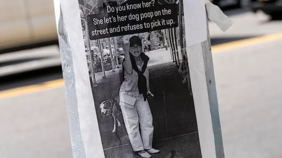 Cartazes expõem dona que se recusa a recolher fezes de cão em NY Cartazes expõem dona que se recusa a recolher fezes de cão em NY