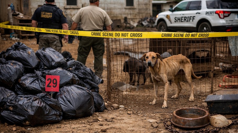 Três são presos após 29 cães mortos serem achados em sacos no Alabama Três são presos após 29 cães mortos serem achados em sacos no Alabama