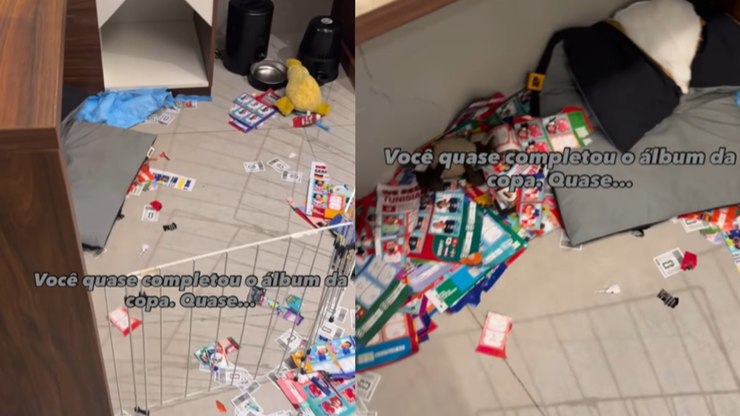 Cachorro destrói álbum da Copa com 600 figurinhas coladas