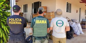 Operação apreende 1,5 tonelada de barbatanas de tubarão na Bahia