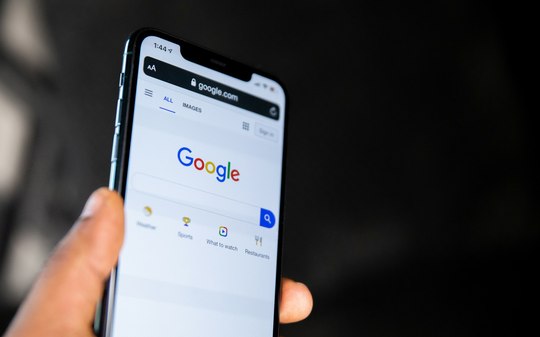 Google derruba 400 mil árvores para data center