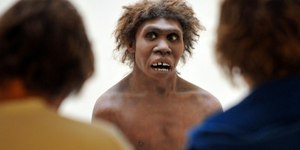Homo erectus sabia se adaptar às condições desérticas, revela estudo