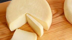 Suplemento alimentar garante sobrevivência de abelhas sem ferrão