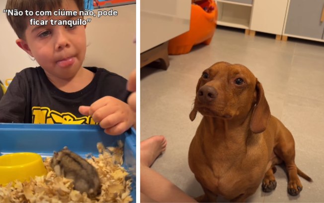 Al6570q290m2q1dcievfdnukj