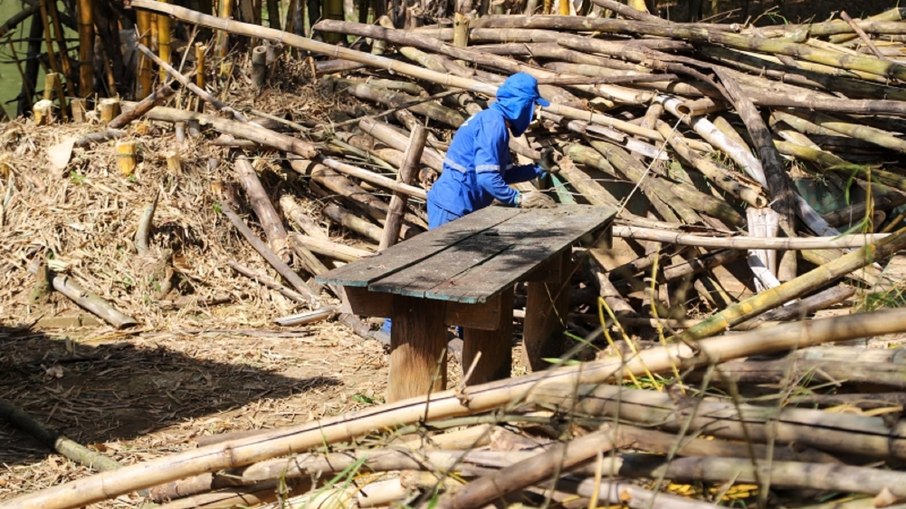 atendimento vale para árvores dentro dos lotes e para as calçadas vinculadas a imóveis com cadastro de IPTU atendimento vale para árvores dentro dos lotes e para as calçadas vinculadas a imóveis com cadastro de IPTU