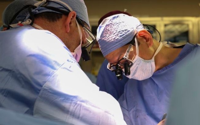 Médico brasileiro faz 1º transplante de rim de porco para humano