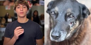 Igor Zampieri, do caso do cão Orelha, desabafa nas redes sociais