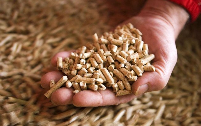 Relatório prevê crescimento do mercado de pellets de madeira