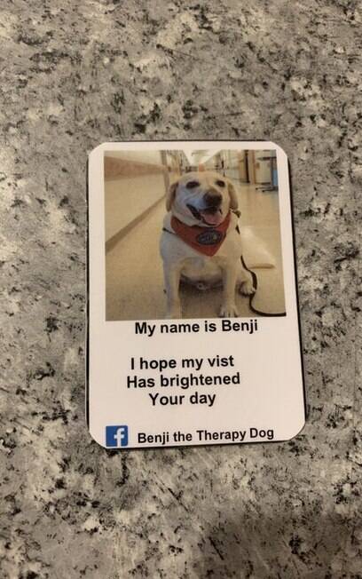 Cartão de visitas de cão de serviço