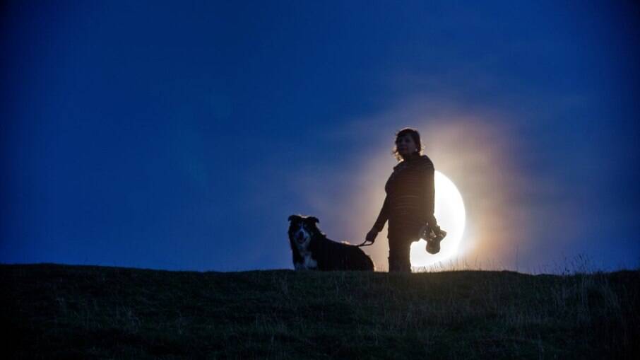 As pessoas tendem a aproveitar as noites mais claras de Lua cheia para realizar atividades com os animais de estimação
