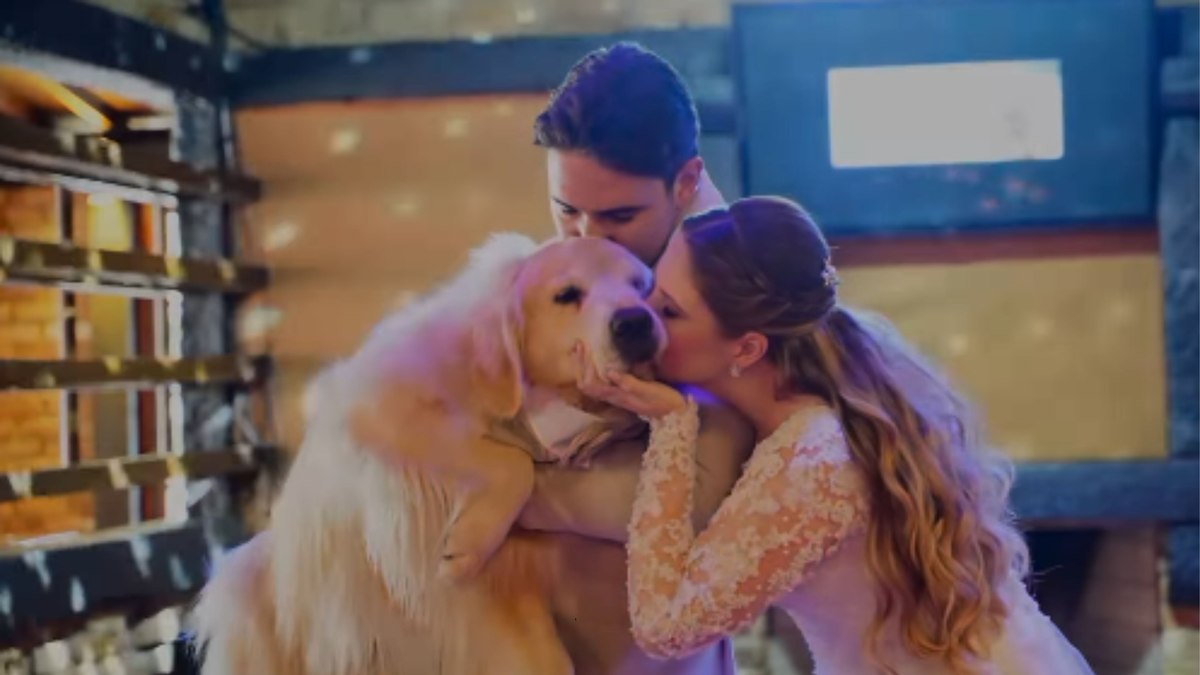 Valsa de casamento tem participação especial de golden