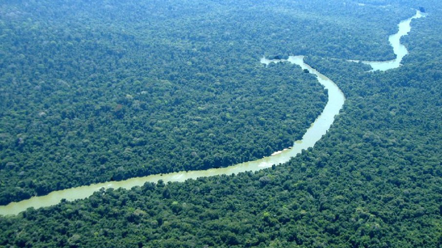 Brasil tem grande área de florestas tropicais Brasil tem grande área de florestas tropicais