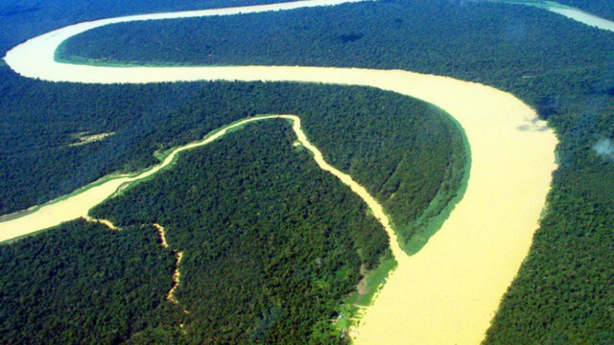 Nuvem de poeira mantém Floresta Amazônica viva há séculos