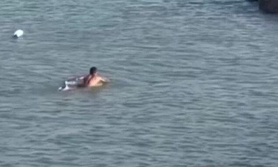 Surfista salva cachorro à deriva e se torna herói do dia