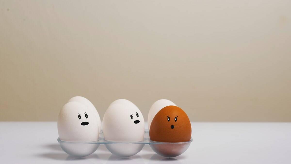 Quem veio primeiro: o ovo ou a galinha? Ciência tem nova explicação