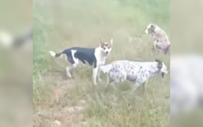 Anh6bwphtel14ine18bezyqpw