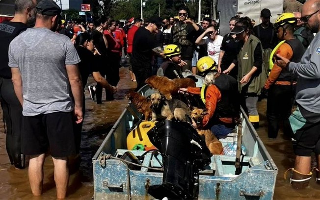 Velejadores se solidarizam com o povo de Porto Alegre (RS)