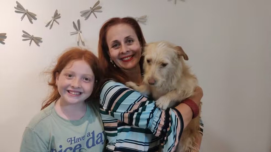 Cachorra que sobreviveu a enchente no RS se adapta em lar em SP Cachorra que sobreviveu a enchente no RS se adapta em lar em SP