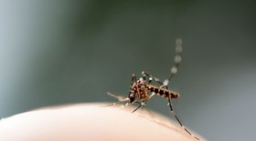Brasil ultrapassa 4 milhões de casos de dengue em 2024