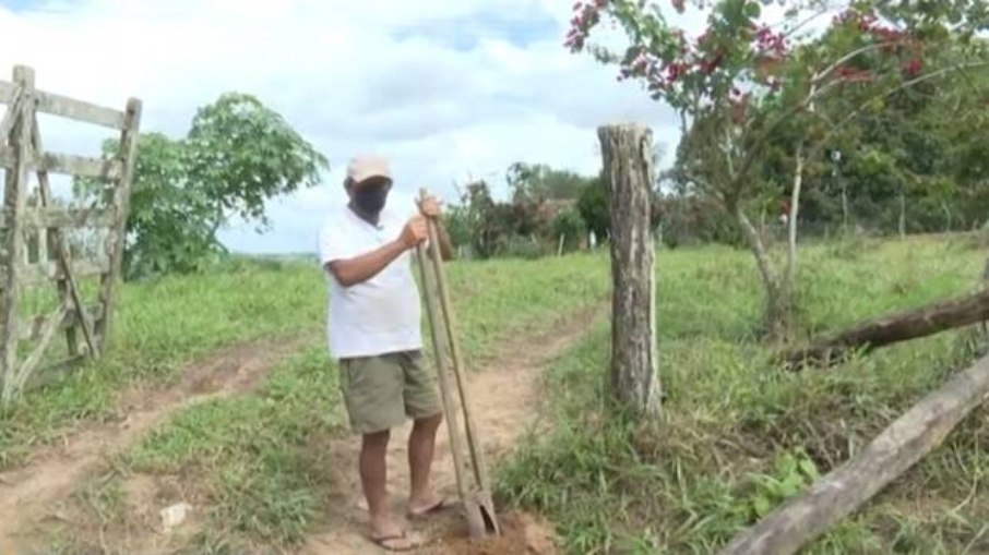 População ocupada na agricultura apresentou redução na comparação anual.