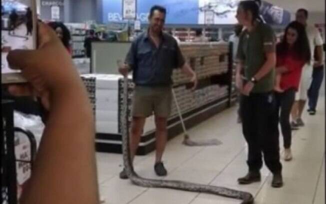 Cobra de 3,5 metros é encontrada em supermercado na África