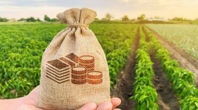 PIB do agronegócio recua 3,5% no acumulado de 2024