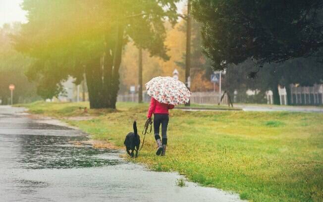 Quando o cachorro só faz xixi e cocô na rua o dono tem que sair com ele até na chuva