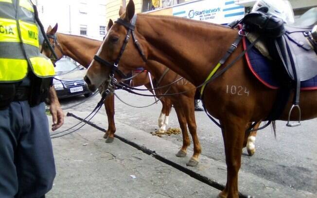 Apreensão foi efetuada por equipe da Cavalaria da PM que contou com apoio dos cavalos Tabasco, Tramandaí e Fagulha