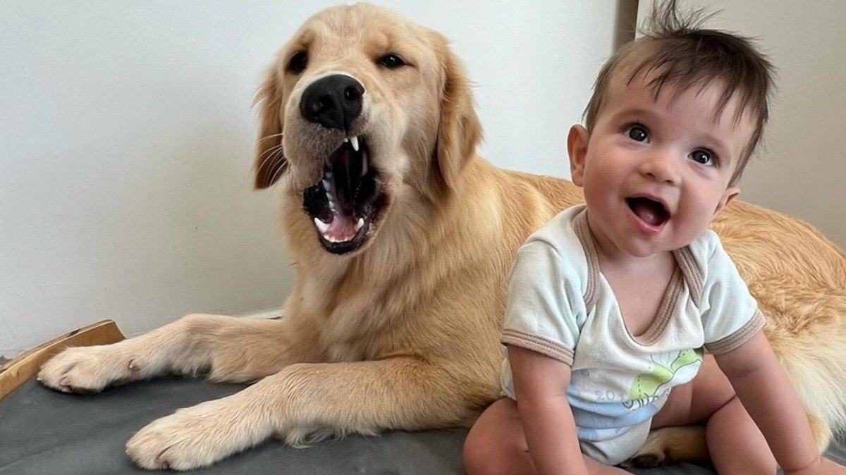 A rotina da cachorra Lua e do bebê Davi é compartilhada por Cristiane em perfil do Instagram