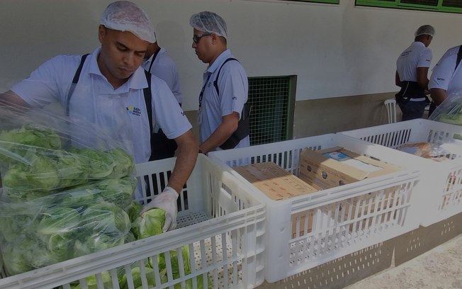 Pesquisa aponta como empresas podem reduzir desperdício de alimentos