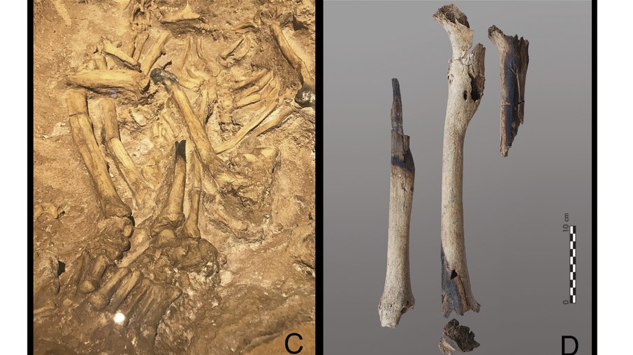 Sepultamento mostra os ossos parcialmente queimados, na técnica de mumificação