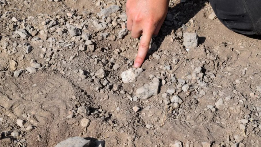 Pé fossilizado de 3,4 milhões de anos é identificado