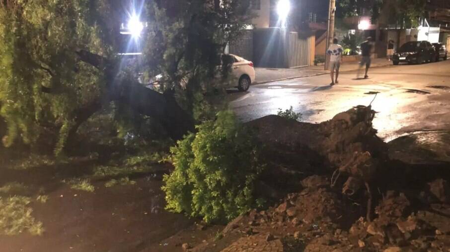 Chuva causa enxurrada derruba árvores e alaga casa em Campinas.