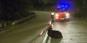 Homem fica gravemente ferido após se envolver em briga de vacas