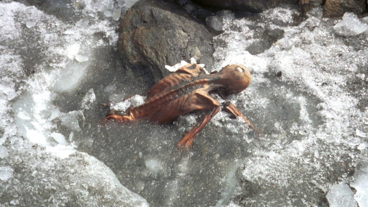 Ötzi foi encontrado mumificado em meio ao gelo dos Alpes Ötzi foi encontrado mumificado em meio ao gelo dos Alpes