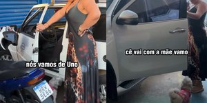 Cachorra rejeita andar de Uno após se acostumar com caminhonete