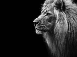 Empresas têm mais duas semanas para enviar declaração de IR retido