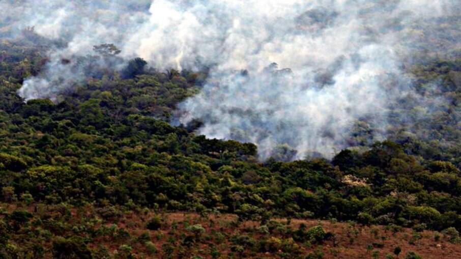 Aumento de 22% no desmatamento segundo o Prodes revela fraude brasileira na COP26