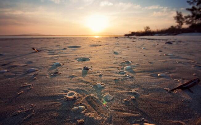Conchas fotografadas durante um por do sol no pontal da ilha, na Ilha do Cardoso.