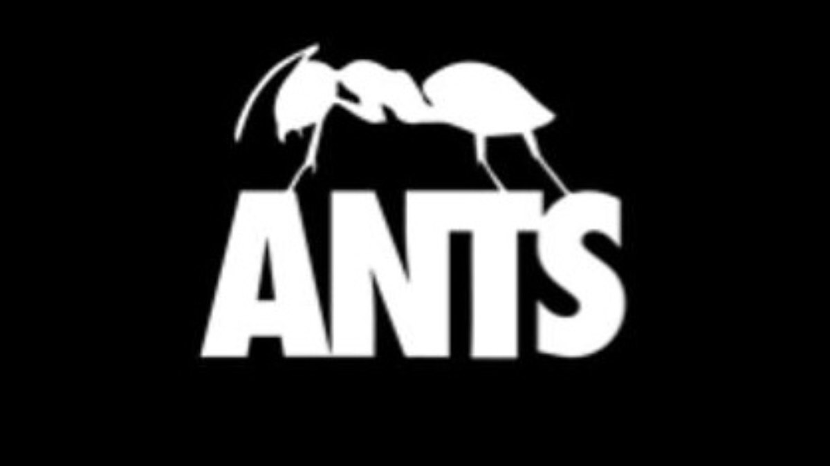 ANTS é conhecida por suas festas vibrantes e line-ups