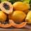Papaia: rica em vitamina C e betacaroteno. Foto: shutterstock 