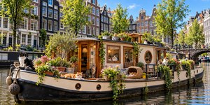 Amsterdã tem um barco cheio de gatos para conhecer de graça