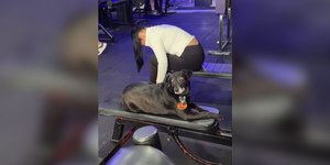 Cão vira "personAU trainer" e acompanha tutora em treino