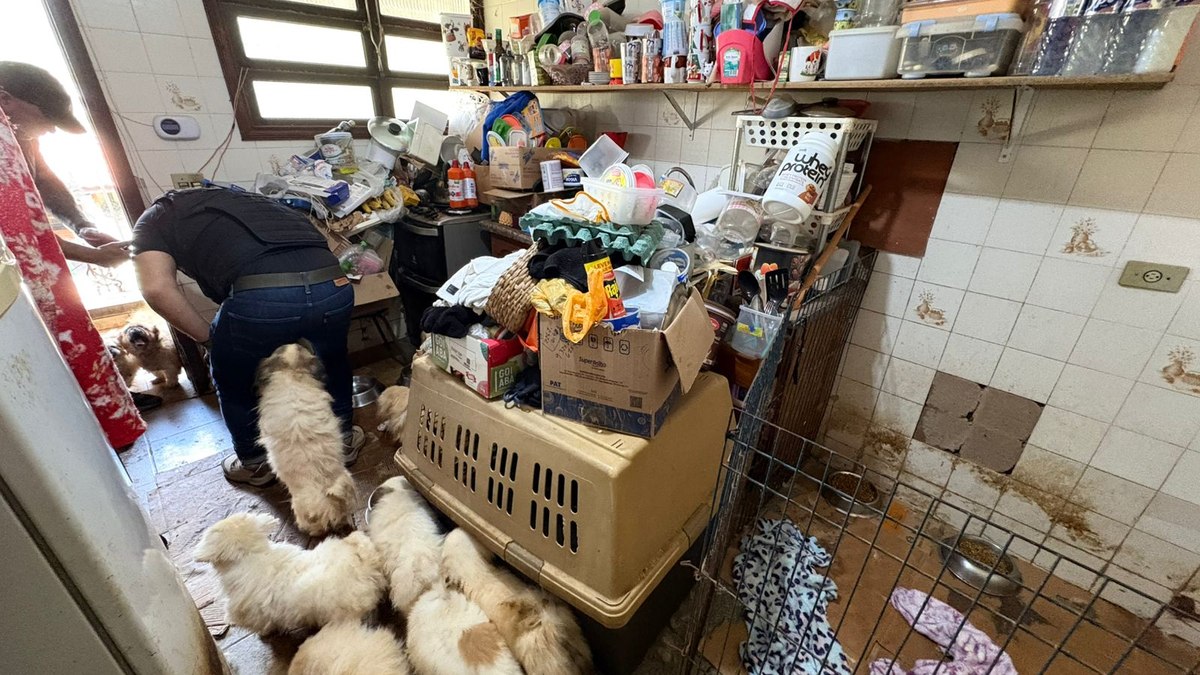 Polícia resgatou 125 animais vítimas de maus-tratos na Grande SP Polícia resgatou 125 animais vítimas de maus-tratos na Grande SP