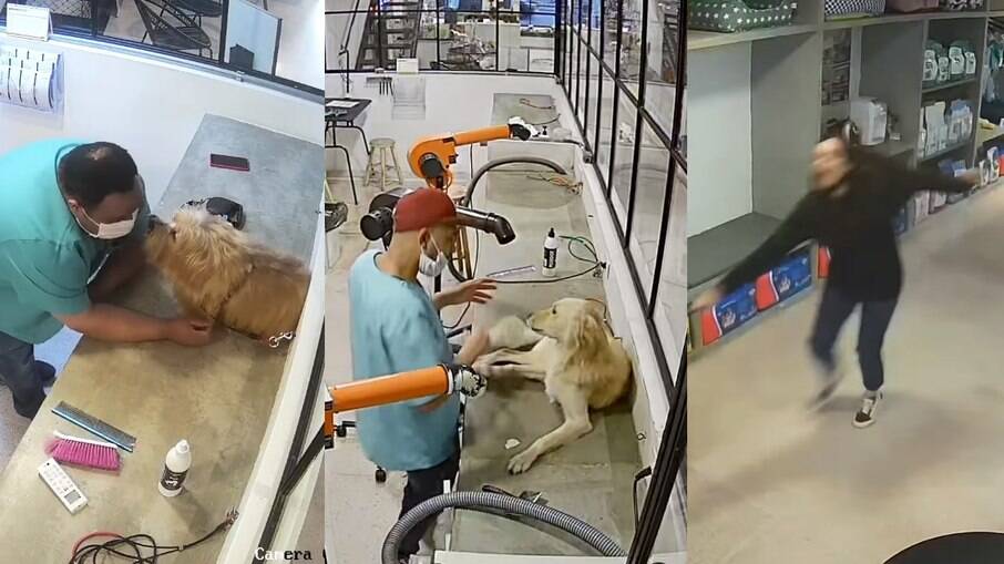 Equipe de Pet Shop encanta pela forma como atendem cachorros