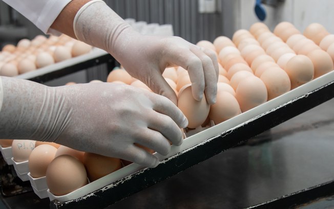Dia do Ovo: Boehringer destaca ciência na alimentação
