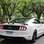 Ford Mustang Black Shadow. Foto: Cauê Lira/iG Carros