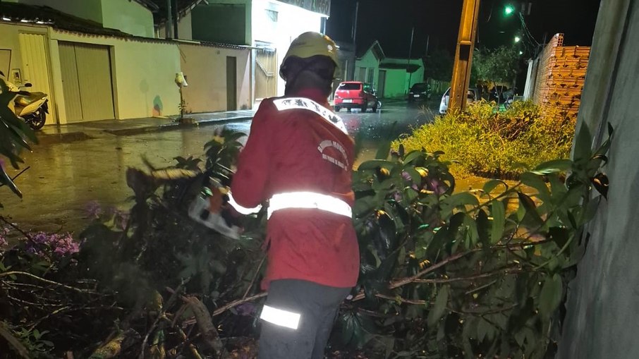 Trabalho de retirada de árvores foi intenso em Rio Pardo de Minas
