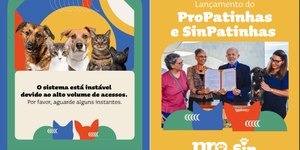 Instabilidade no site do "RG Animal" impede cadastro de pets