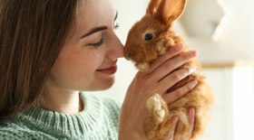 O que você precisa saber antes de adotar um coelho
